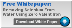 Download Selenium Removal White Paper